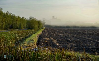 King Alfred in the Somerset Marshes – Part 2