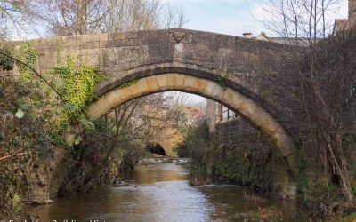 Medieval Echoes: A walk by the River Brue in Bruton, Somerset